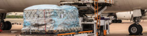 Import export shipping services