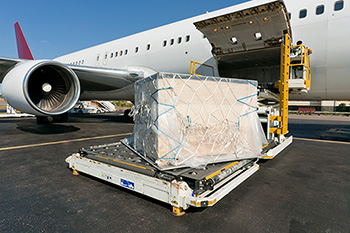 Import and export air freight services